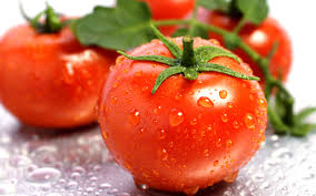 tomate