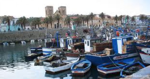 programme d'action et bilan de la saison estivale 2014